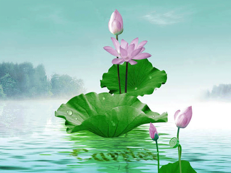 用photoshop cs6制作了一个时间轴的文件图片请问用什么格式保存它那?