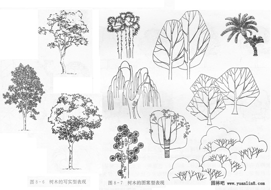 树干怎么画