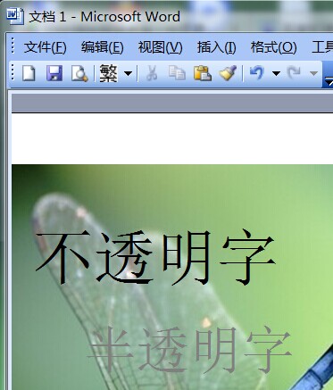 word图片上的文字如何设置成半透明