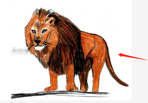 素描狮子怎么画步骤图?