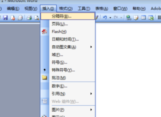 word2003怎么删除空白页面