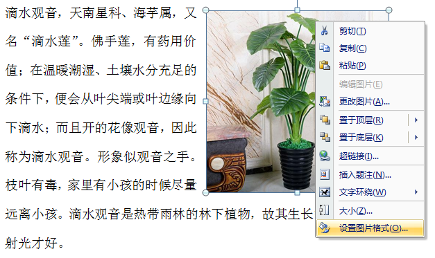 word文档带图片的怎么排版?