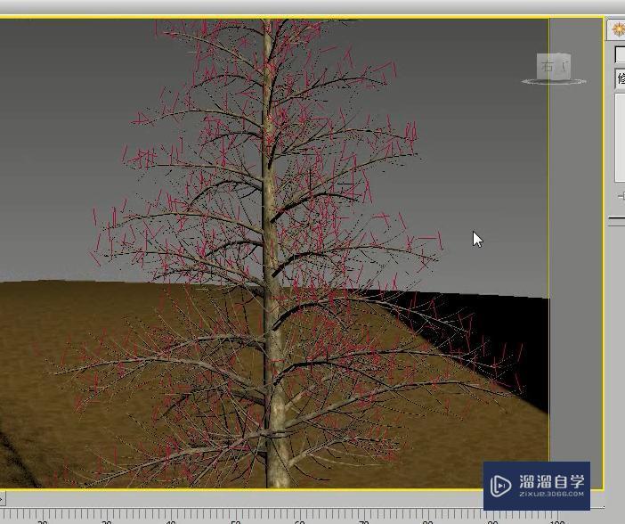 3DMax怎么使用VR毛皮制作松树？