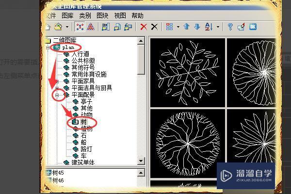 怎么用CAD画绿化图？