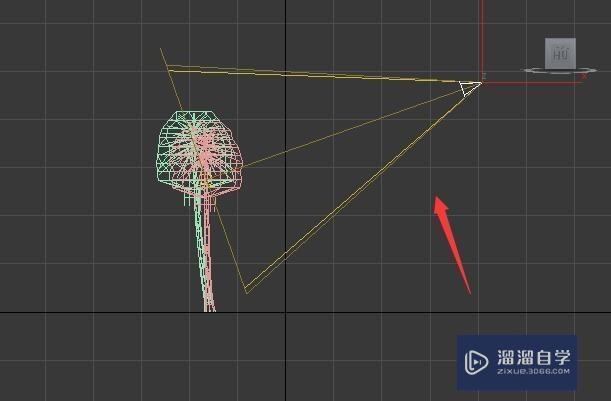 3DMax怎么为植物打灯光，灯光怎么打？