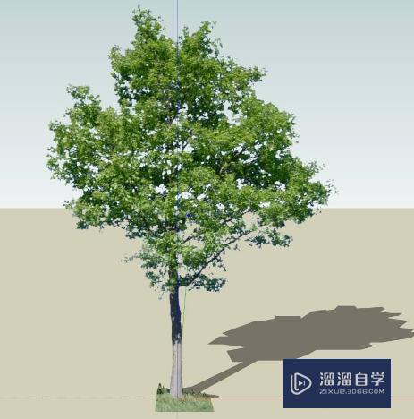 SketchUp组件函数教程讲解