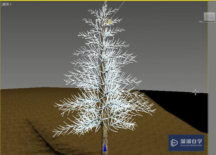 3DMax怎么使用VR毛皮制作松树？