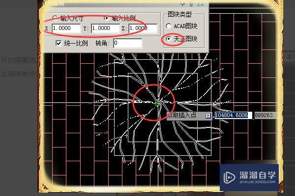 怎么用CAD画绿化图？