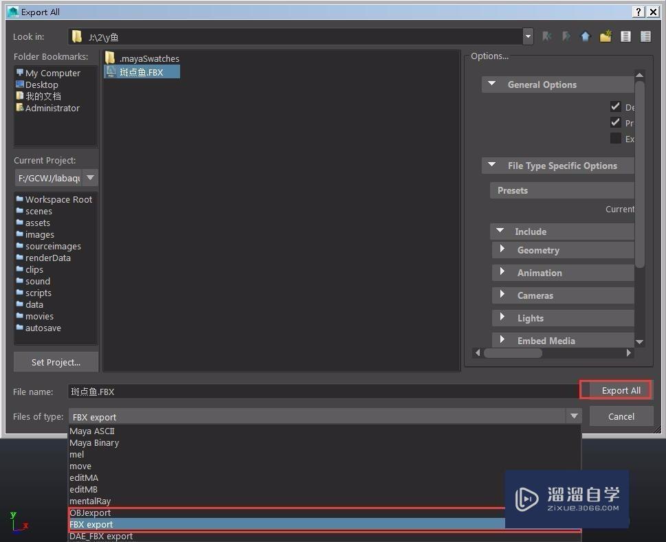 怎么把Maya的模型导入到C4D教程