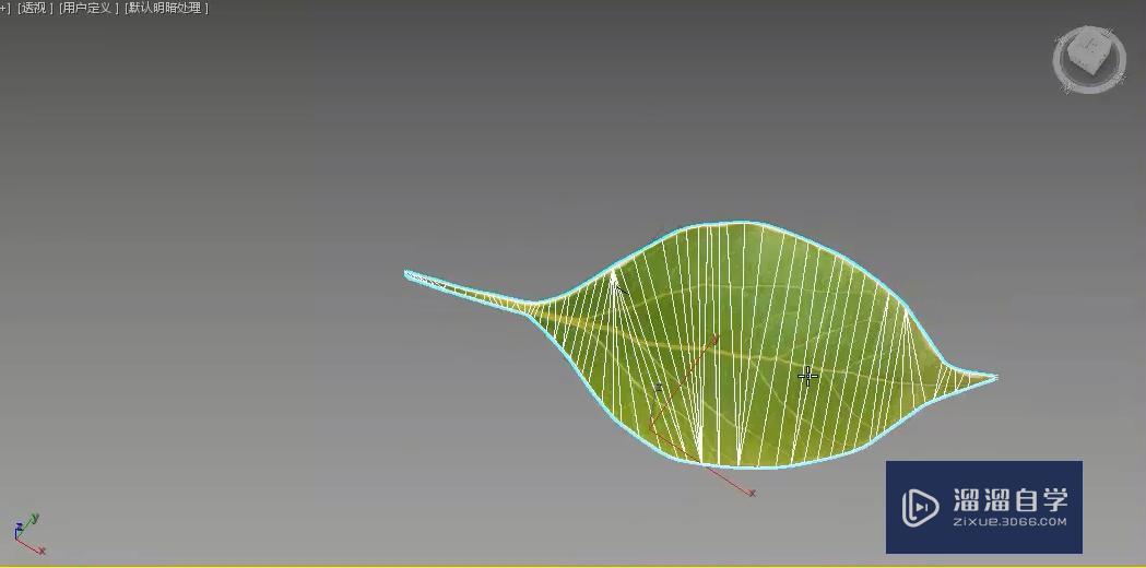 3DMax怎么制作自由飘落的叶子？