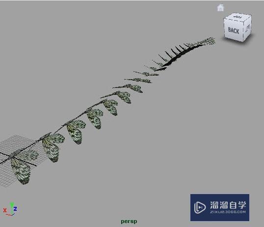 Maya制作飘扬的蝴蝶模型教程