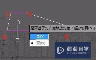 在CAD中怎样直接利用图片进行描图？