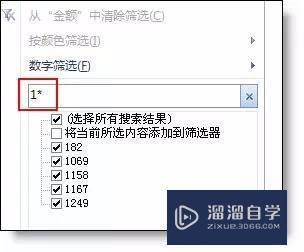 Excel如何使用自动筛选的高级用法？