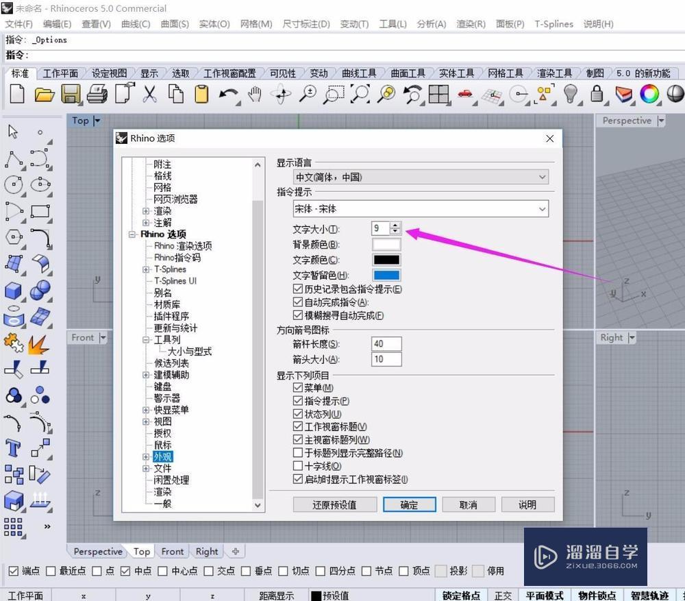 如何放大犀牛5的图标和文字演示教程