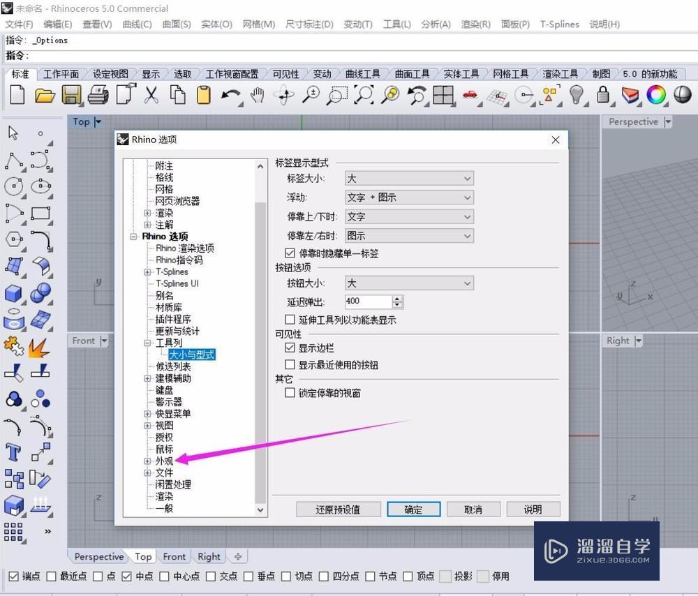 如何放大犀牛5的图标和文字演示教程