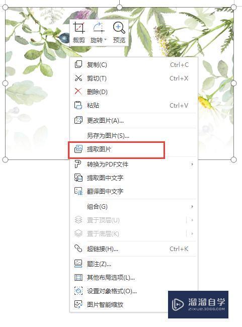 如何把<esred>Word</esred>中的图片提取<esred>出来</esred>？