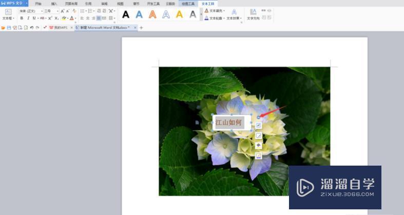 2,点击文本框选择所需要的格式模板.