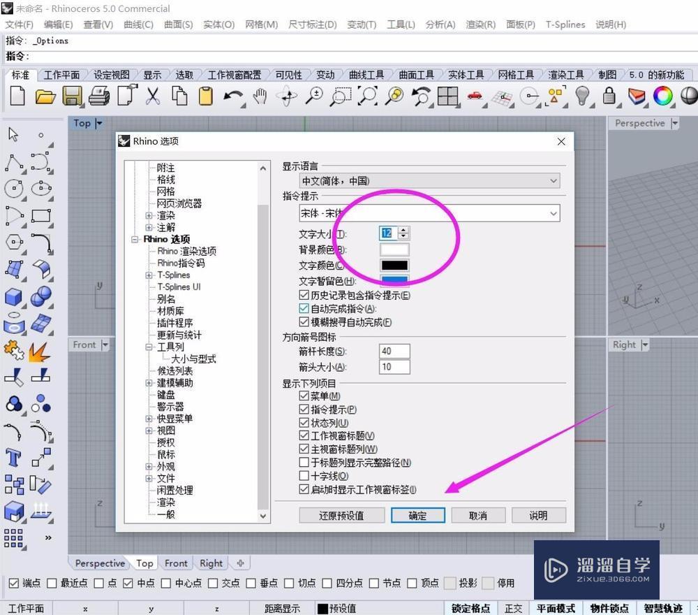 如何放大犀牛5的图标和文字演示教程