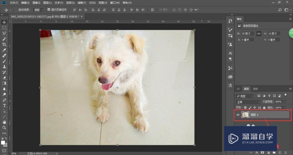 PS<esred>照片</esred>美白<esred>效果</esred>怎么<esred>制作</esred>出来的