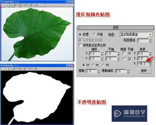 使用3DMax制作美丽清新紫色牵牛花全过程讲解