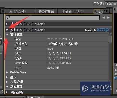 如何在PR中查看视频信息？
