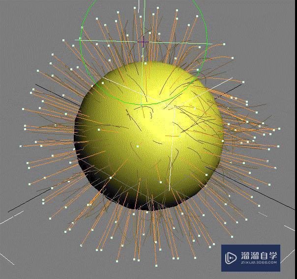 3DMax使用(hAIr和fur)修改器梳理毛发教程