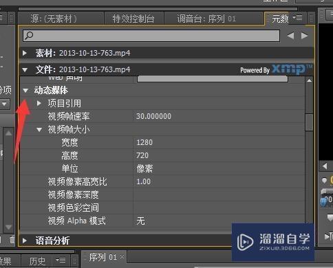 如何在PR中查看视频信息？
