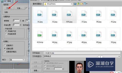 3DMax2010怎么导入参考图？