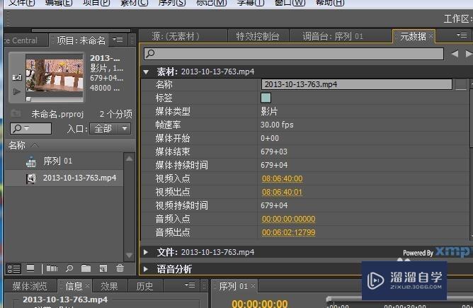如何在PR中查看视频信息？