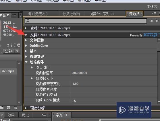 如何在PR中查看视频信息？