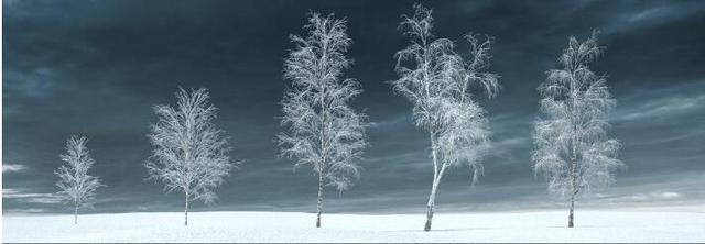 3Ds Max、VRay渲染和Photoshop制作雪后林中小屋创作解析