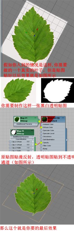 3DMax贴图如何给物体贴上需要的纹理？