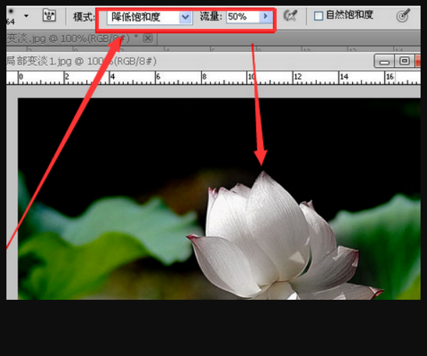 Photoshop怎么让整个图片颜色变淡？