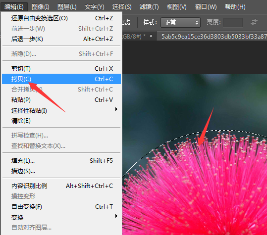 Photoshop粘贴入怎么使用？