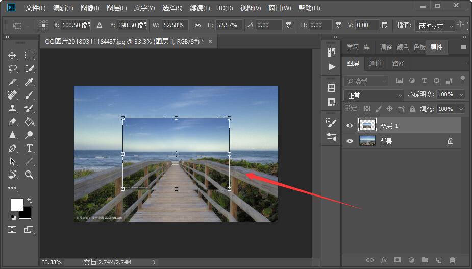 怎么将插入Photoshop的图片放大或缩小？