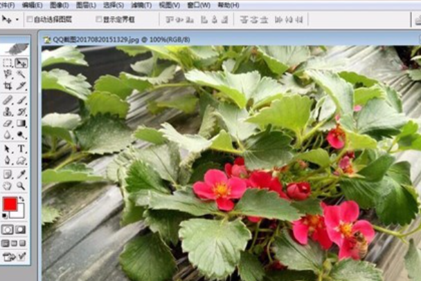 Photoshop中的矩形选框怎么改变形状啊？
