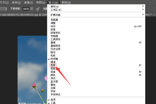 6,然后点击窗口里面的图层选项.
