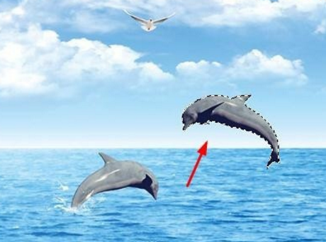 Photoshop怎么建立选区？