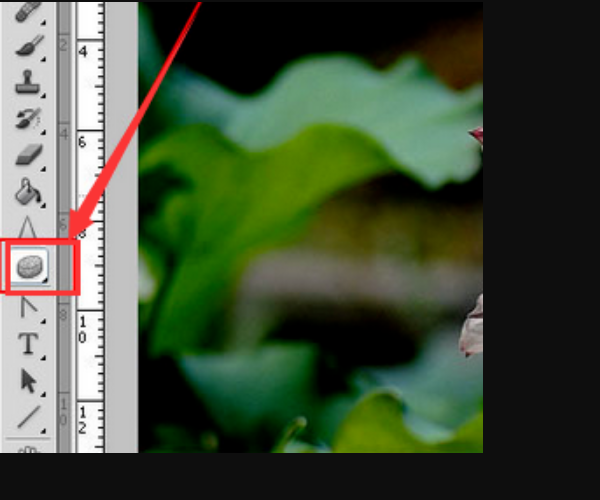 Photoshop怎么让整个图片颜色变淡？