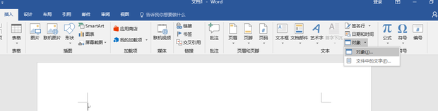 Excel如何插入Word？