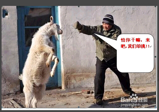 Word文档插入图片怎样在图片上编辑或标注？