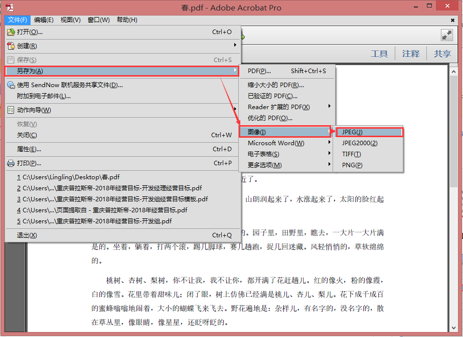 如何将Word文档转为图片？