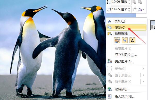 怎么把Word的图片导出来？