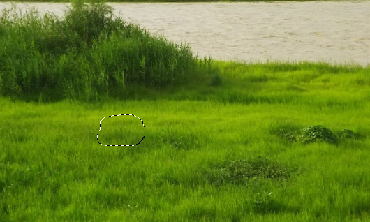 Photoshop上抹字的工具怎么用？