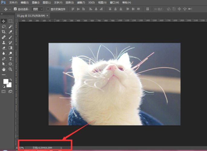 在Photoshop里面怎么查一张图片的大小？