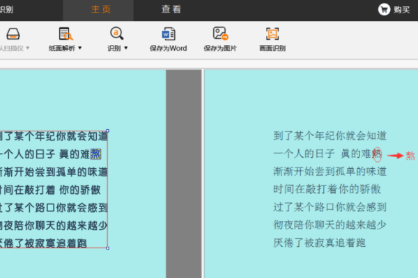 如何将书本上的字转化为Word 文档？