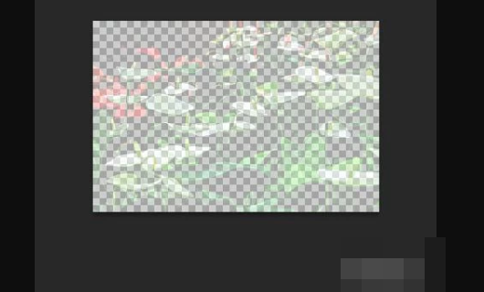Photoshop怎么调节透明度？