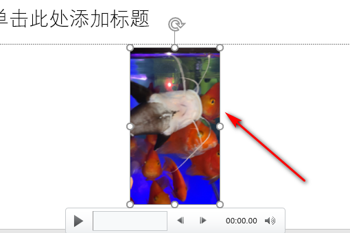 怎么把视频放到PPT里面？