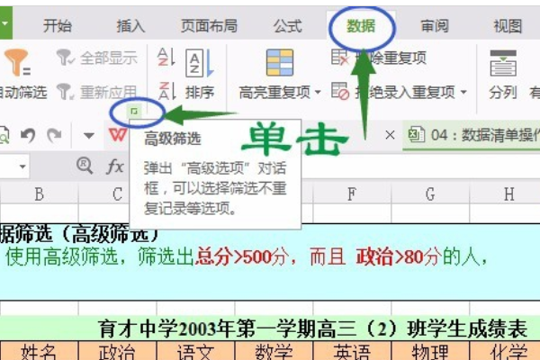 WPS Excel 的高级筛选如何用？