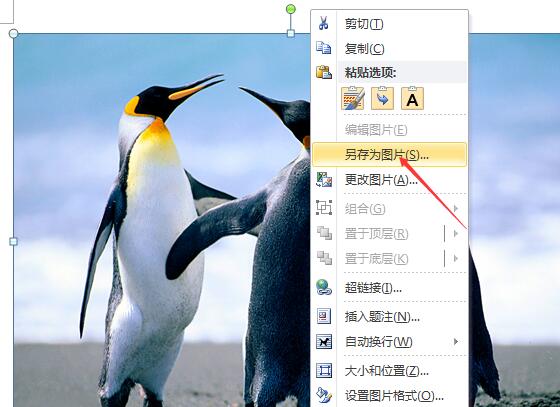 怎么把Word的图片导出来？